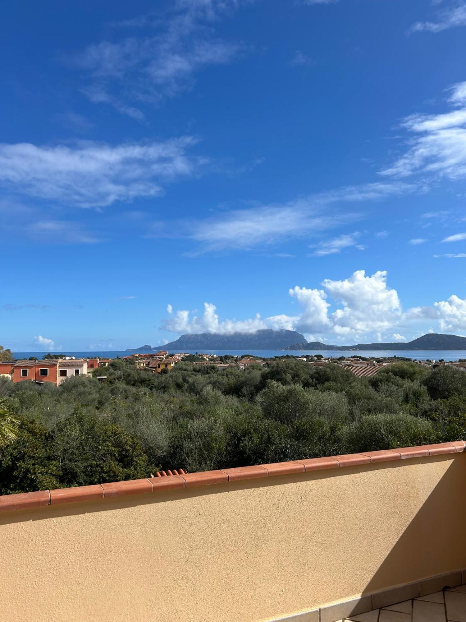 Villa Ulivo Olbia Dış mekan fotoğraf