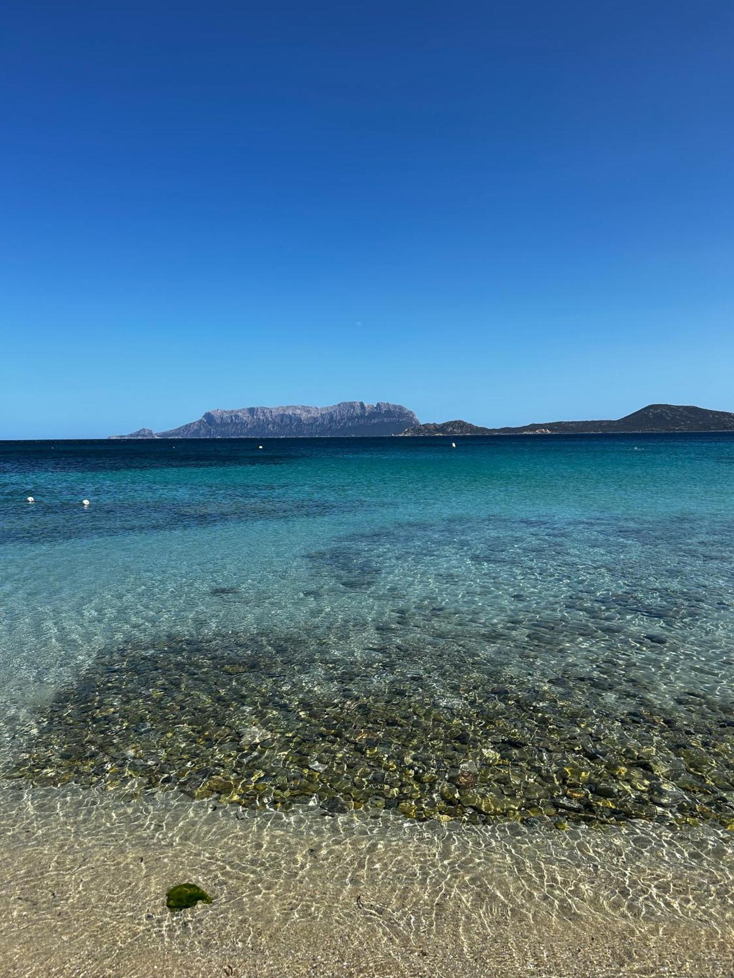 Villa Ulivo Olbia Dış mekan fotoğraf